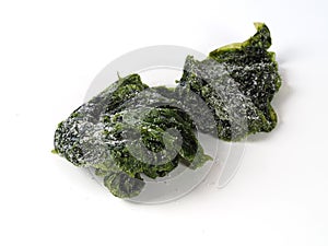 Sea lettuce Ã¢â¬â Lechuga de Mar photo